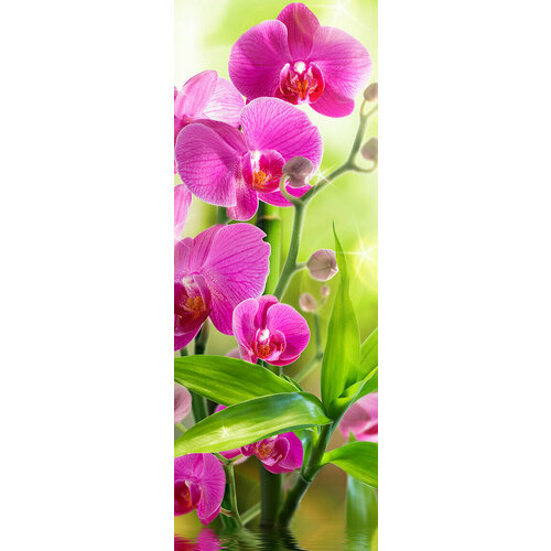 Моющиеся виниловые фотообои Сияющая орхидея B-095, 100х270 см