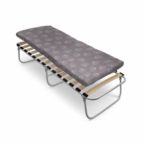 Кровать раскладная НИКА РК6-М2 с ортопедическим основанием и матрасом в одуванчик 5625₽