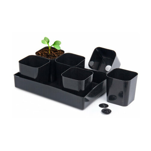 Набор для рассады поддон 6 стаканов 6 донышек-вкладышей ПИ-3ТХуп 638₽