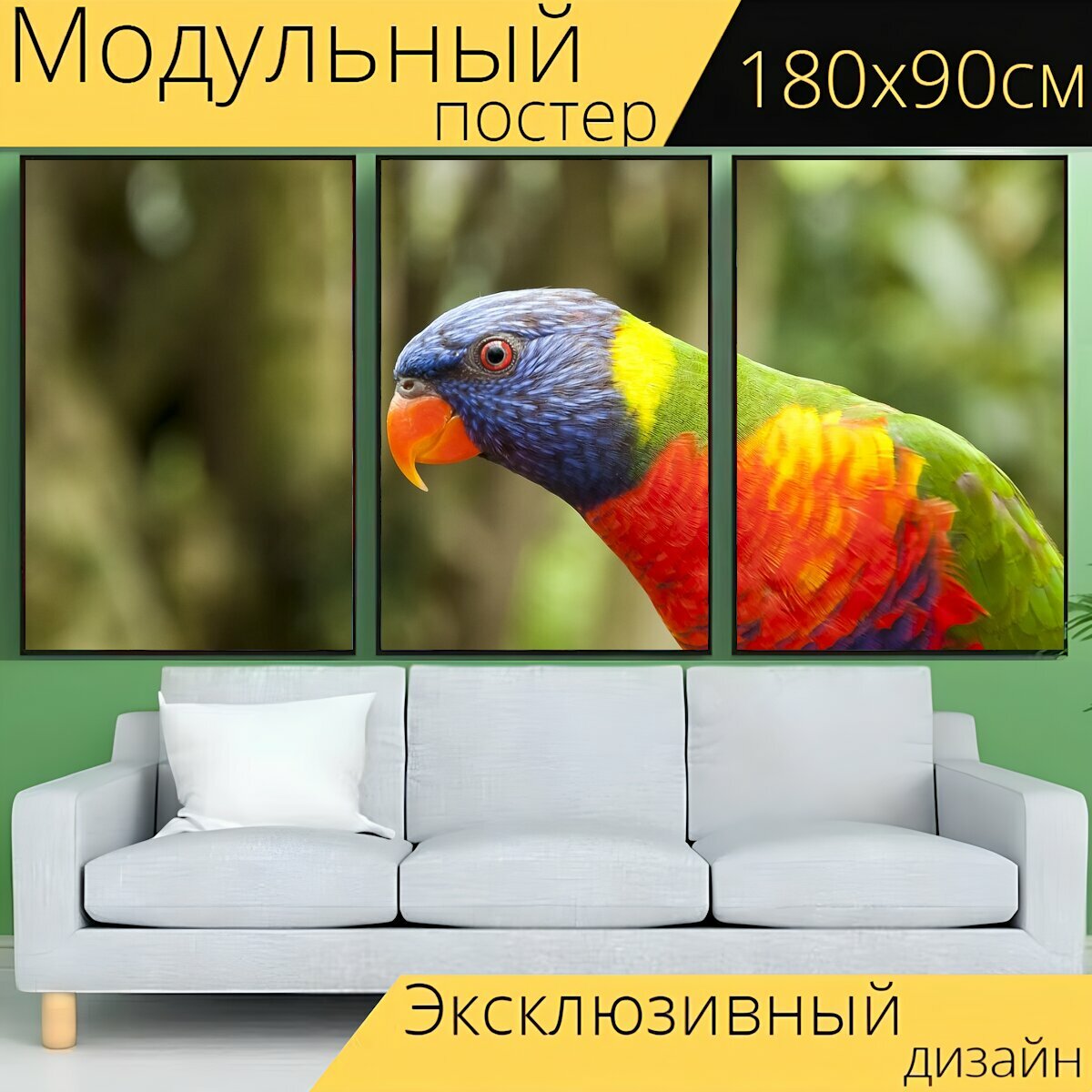Модульный постер "Птица лорикет попугай" 180 x 90 см. для интерьера