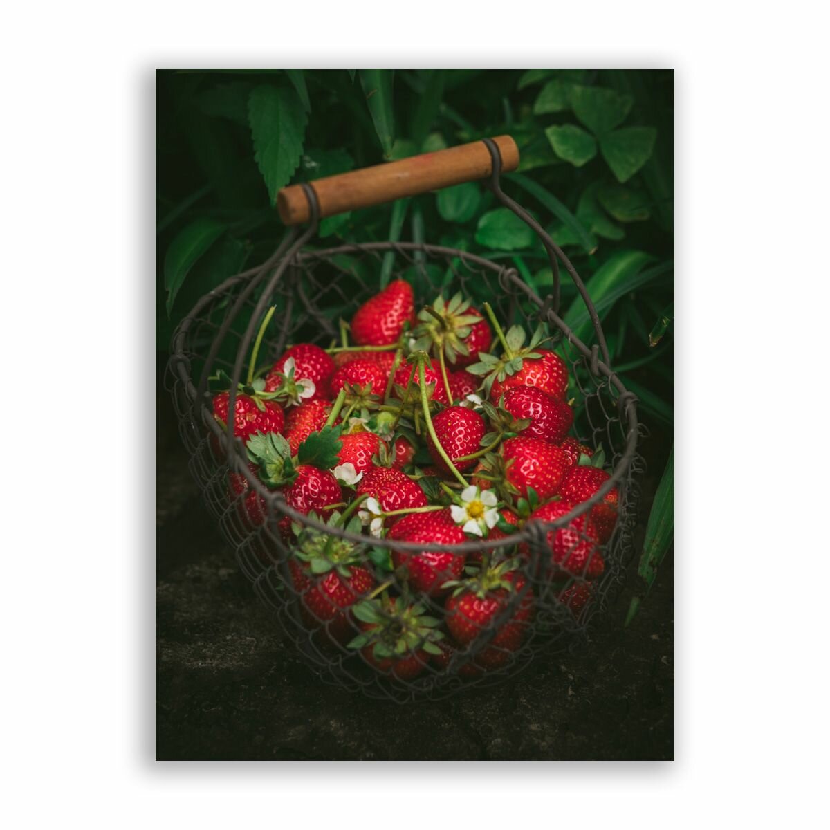Постер плакат на бумаге / Клубника / Размер 40 x 53 см