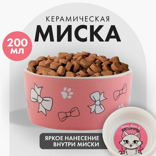 Миска керамическая CATurday, 200 мл, для кошек