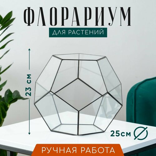 Стеклянный флорариум Додэкаэдр большой