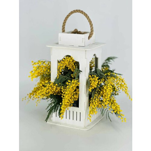 Мимоза в белом деревянном фонаре, букет мимоз