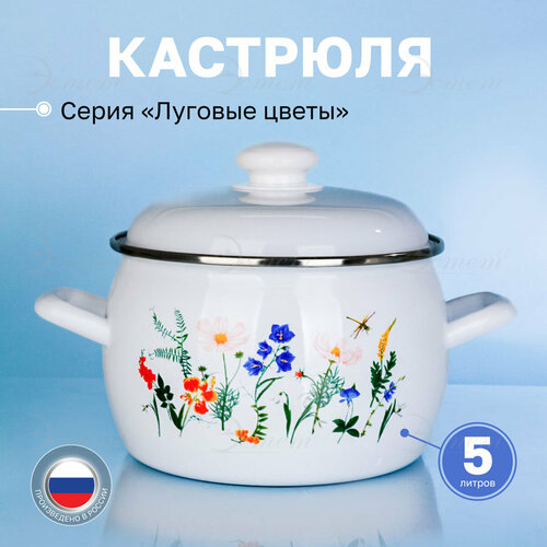 Кастрюля эмалированная для плиты 5.0 л