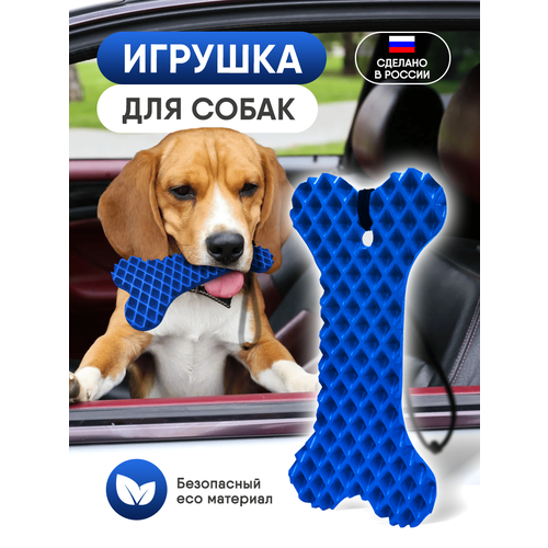 Игрушка для собак синяя