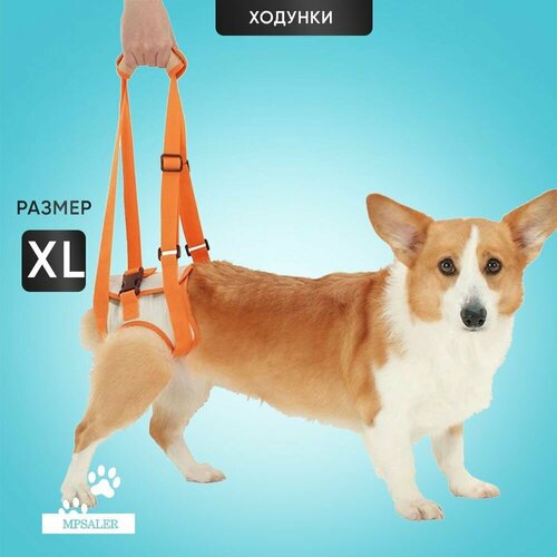 Ходунки для собак, поддержка задних лап пожилых и травмированных собак. Поддерживающая шлейка, размер XL.