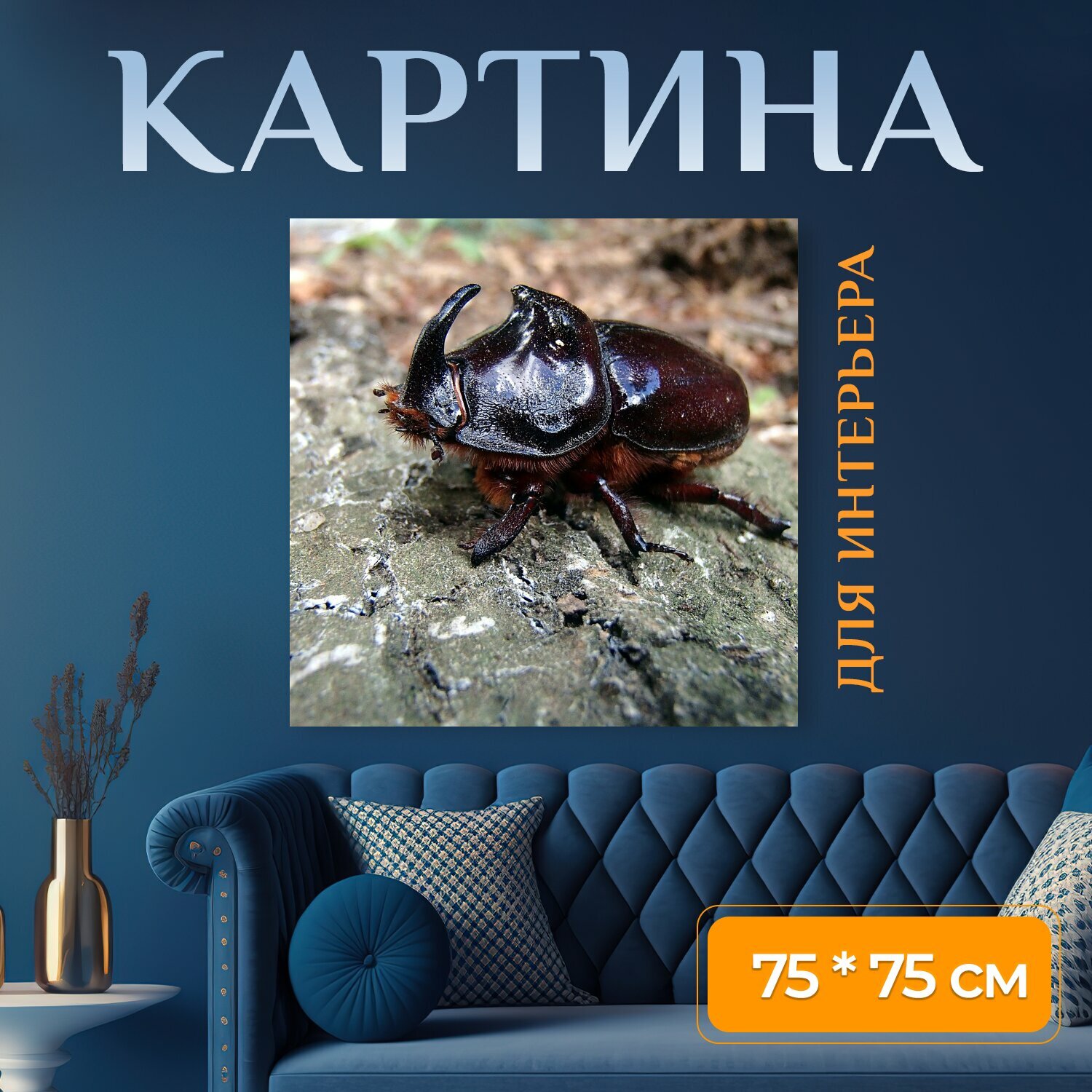Картина на холсте "Капуцины макрос насекомое" на подрамнике 75х75 см. для интерьера