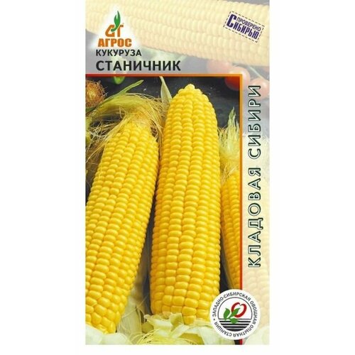 Семена Кукуруза Станичник