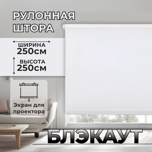Штора рулонная блэкаут 25х25м 12190₽