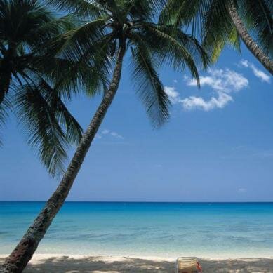 фото Фотообои Komar бумажные 8-001 3,68*2,54 8полотен, клей в комплекте