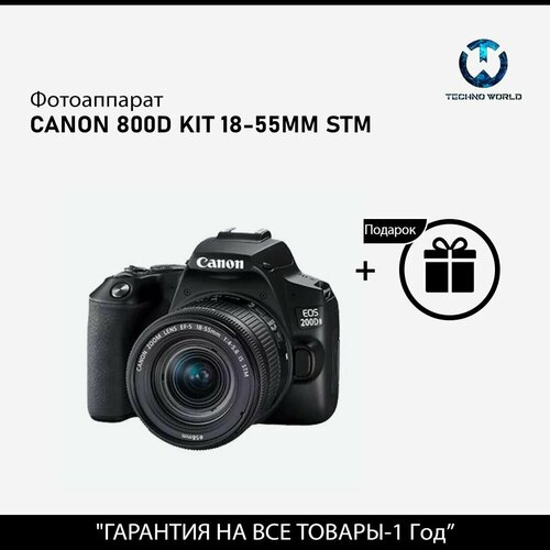 Фотоаппарат Canon 800D kit 18-55mm STM 7499900₽