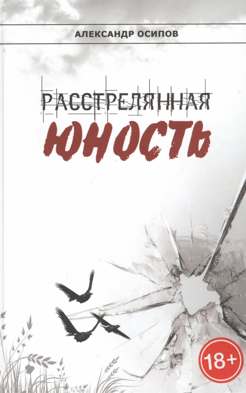 Расстрелянная юность (Осипов А.) - фото №2