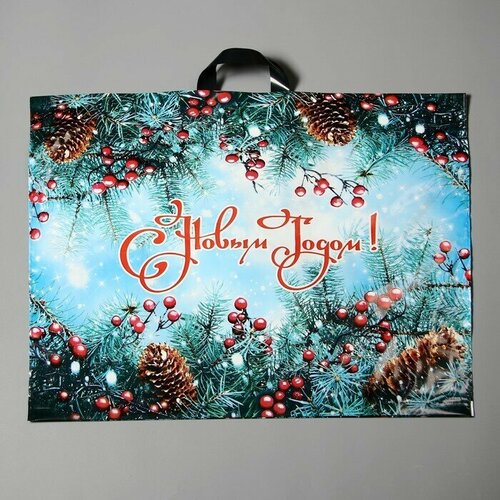 Пакет Голубая ель полиэтиленовый с петлевой ручкой 71х55 см 90 мкм 25 шт 5277₽