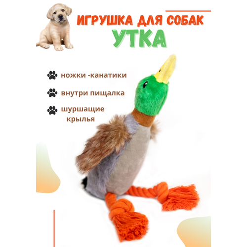 Мягкая игрушка для животных Утка ZooDomans