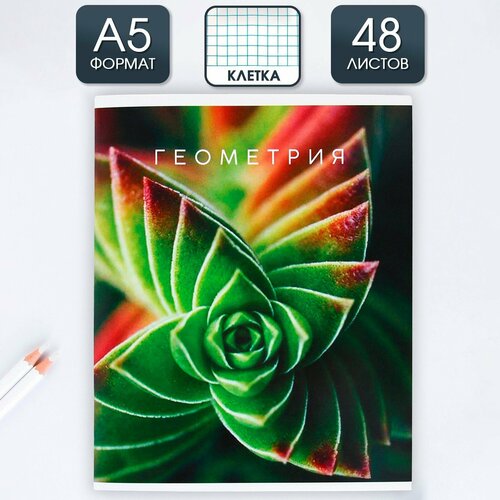 Предметная тетрадь 48 листов природа со справочными материалами Геометрия обложка мелованный картон 230 гр внутренний блок в клетку 80 гр белизна до 80 блок 2 1шт 290₽