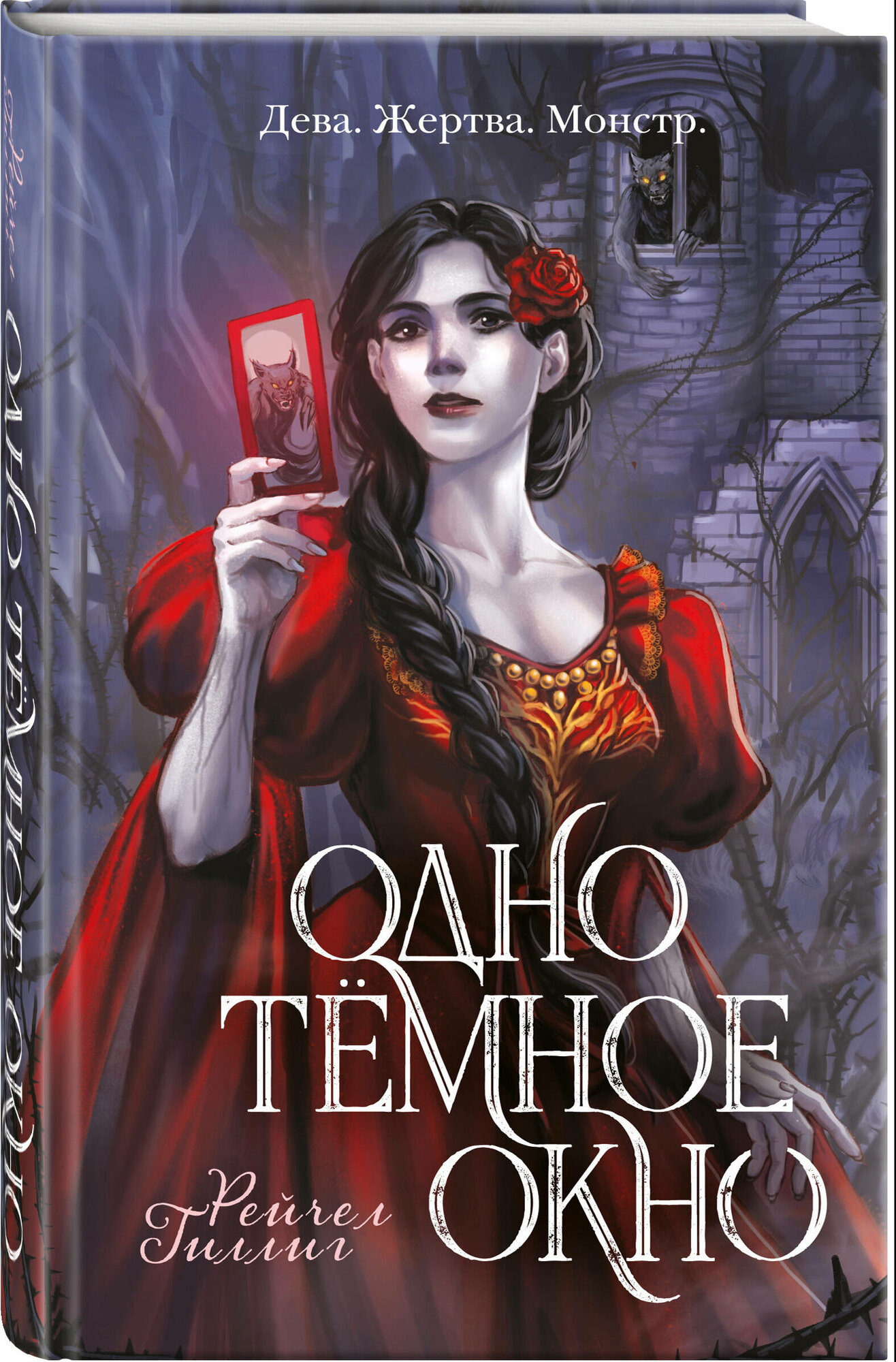 Одно темное окно (Рейчел Гиллиг) - фото №1