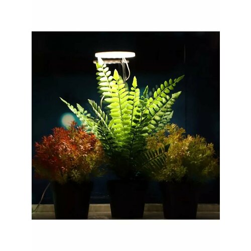 Фитосветильник светодиодный 2 Вт 1 круг 4 Вт 2 круга 1033₽