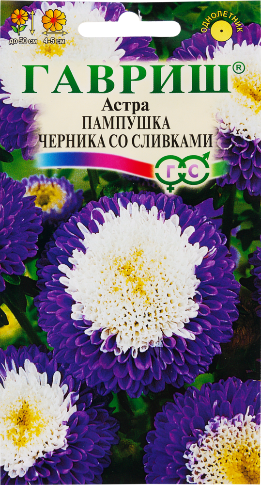 Астра «Пампушка Черника со сливками» 0.3 г