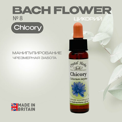 Цветы Баха, эссенция №8 Chicory (Цикорий) Чикори - капли 10 мл. Англия