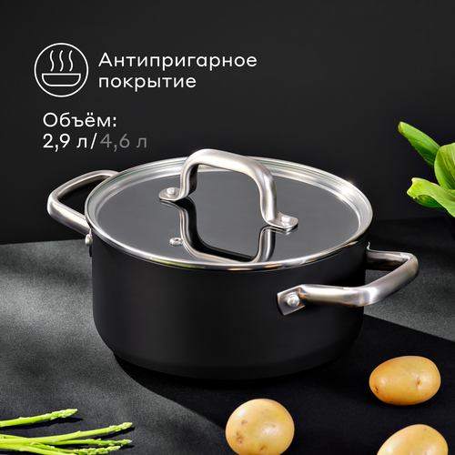 Кастрюля из алюминия Pragma Robuk 29 л с антипригарным покрытием крышка в комплекте индукция 2403₽