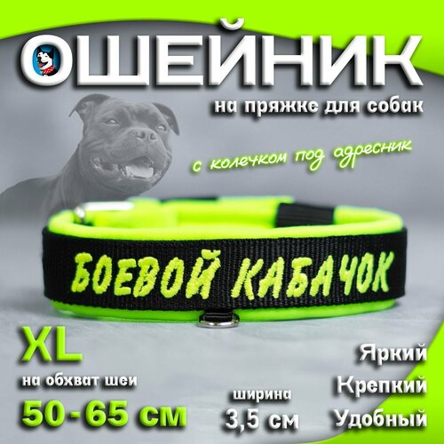 Ошейник для собак Buddy team на пряжке, с вышивкой боевой кабачок, ширина 3,5 см, с мягким подкладом для средних и крупных пород, размер XL