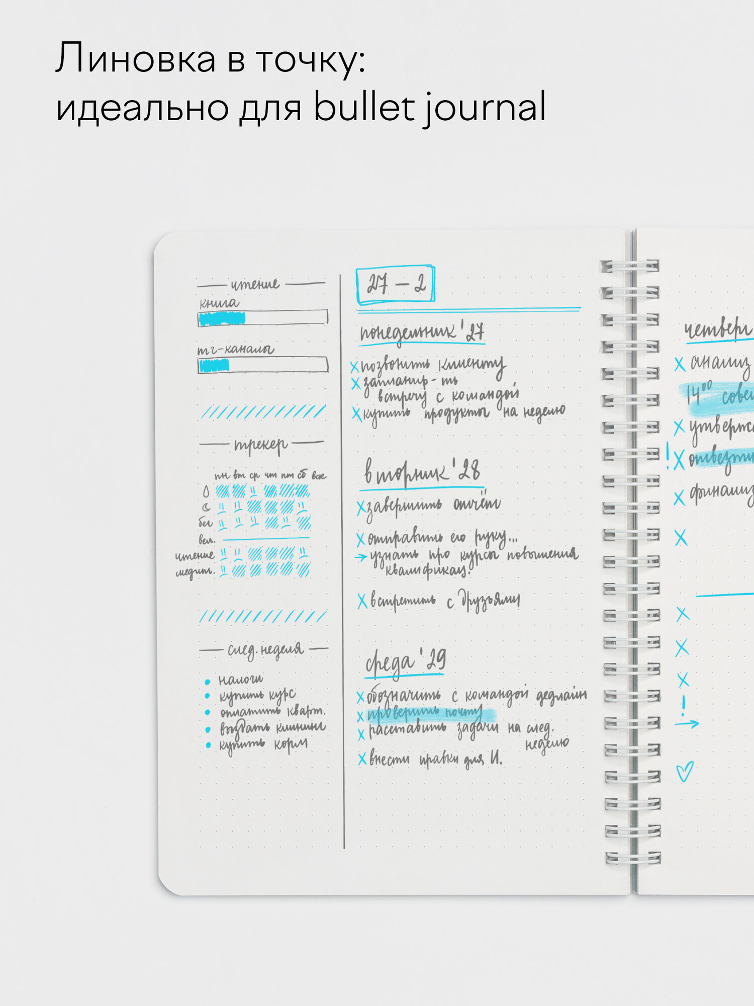 Блокнот в точку Falafel на пружине, формат А5, прозрачная обложка и наклейки для оформления, 60 листов, 120 гр. Pine — фото 1