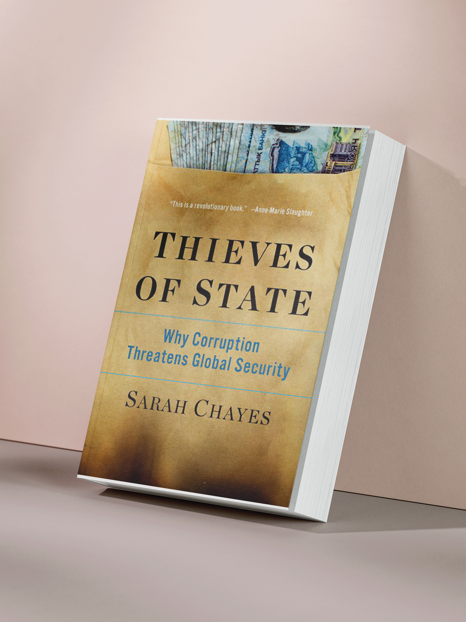 Сара Чейз — Воры государства: почему коррупция угрожает глобальной безопасности