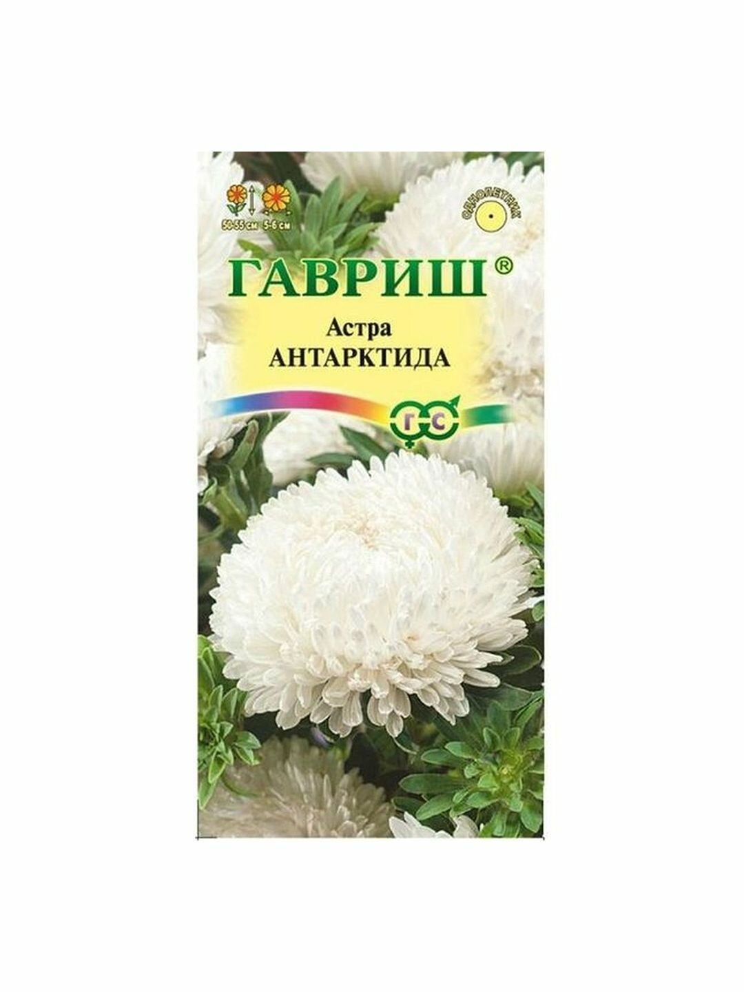 Семена Астра Антарктида белая пионовидная однолетник Гавриш 1 пачка - 0.3г семян