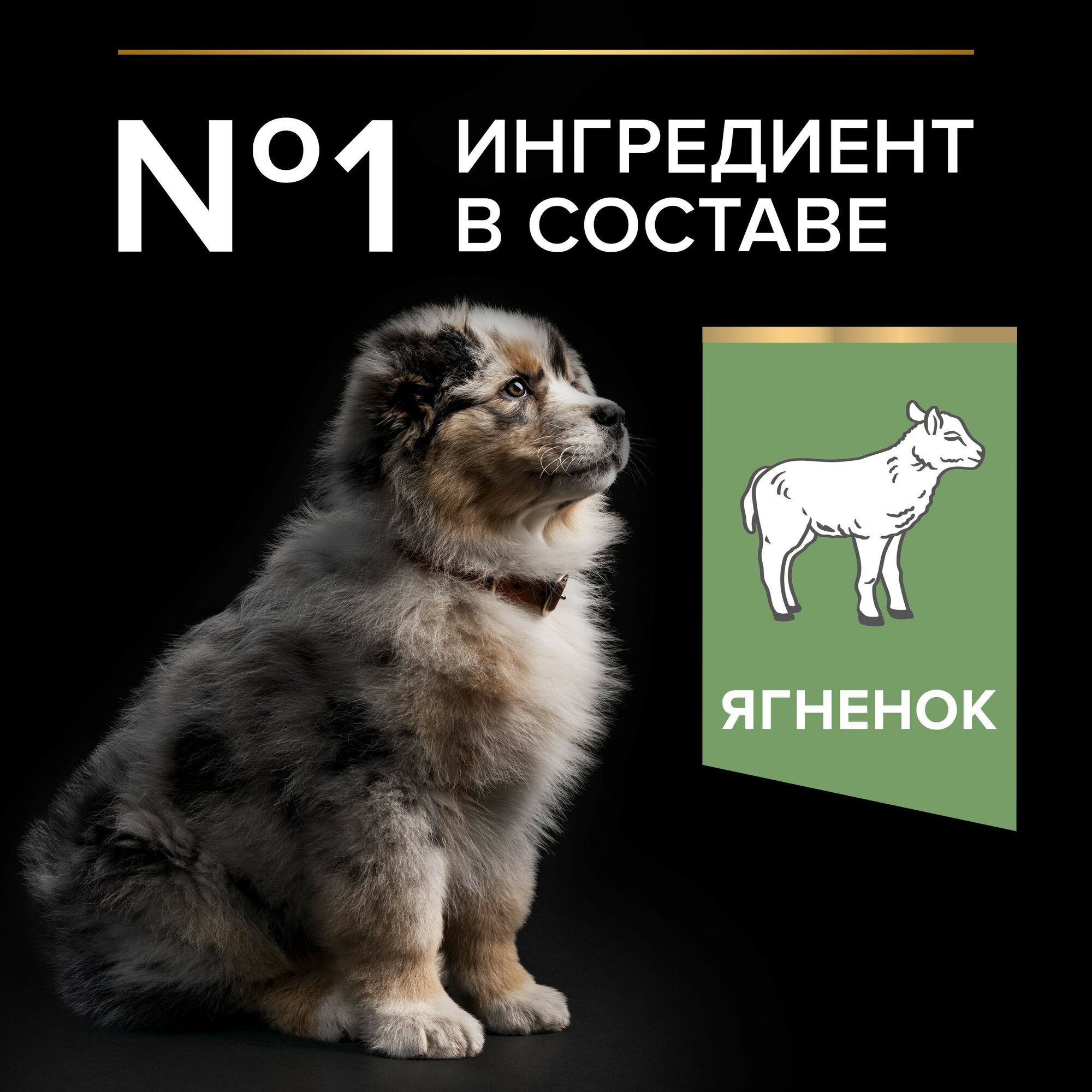 Сухой корм ProPlan для щенков средних пород с чувствительным пищеварением, ягненок, рис, 18кг Purina ProPlan - фото №3