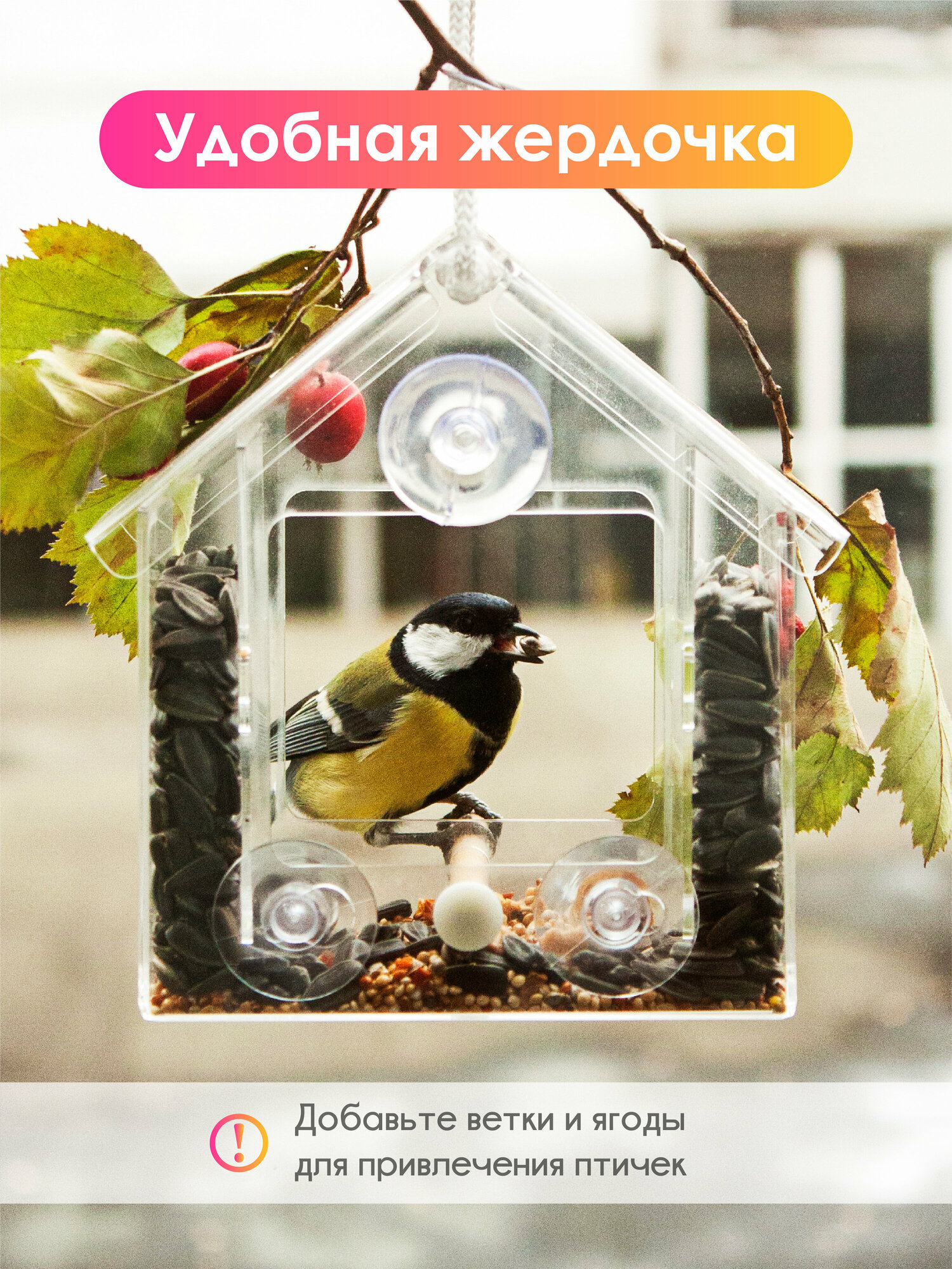Кормушка для птиц прозрачная на окно - фотография № 2