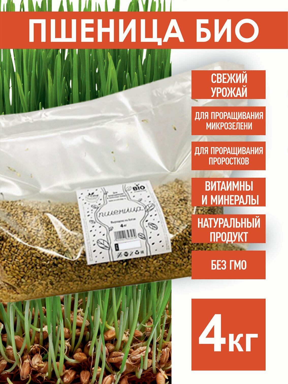 Пшеница Семена БИО для проращивания, 4 кг. биоорганическая