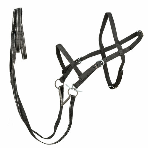 Узда для лошади регулируемая капроновая двойная 25 мм / REITER