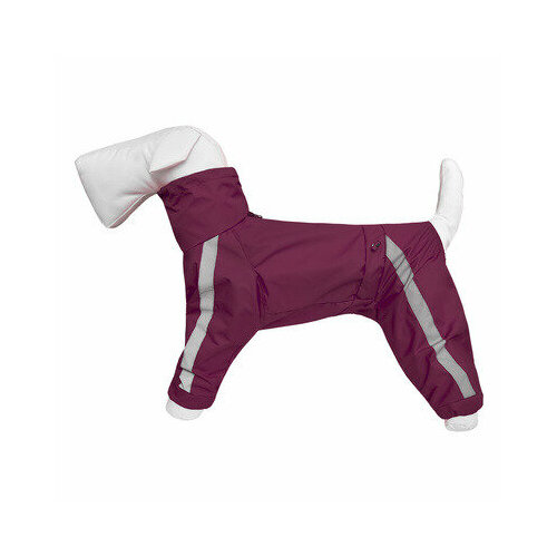 Tappi одежда Дождевик для собак Басенджи без подкладки, с воротником-капюшоном, мальчик Винный размер L зп24ос, 0,2 кг