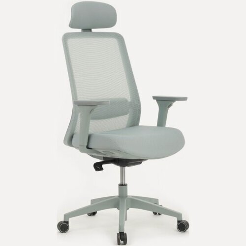 Изображение товара Кресло руководителя Riva Design WORK W-218C blue Голубой пластик/Голубая сетка 65-64-113-123