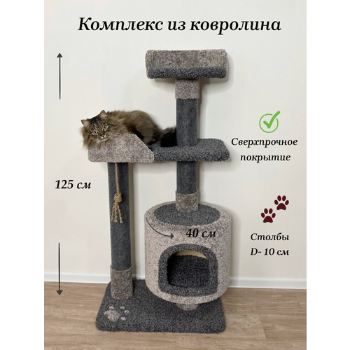 Когтеточка 