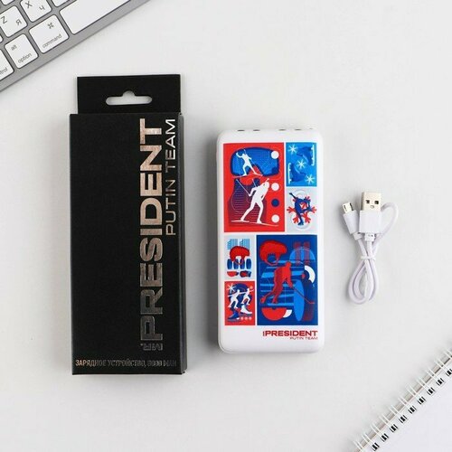 Зарядное устройство Спорт 8000мА модель PB-22 145 х 69 см 324600₽