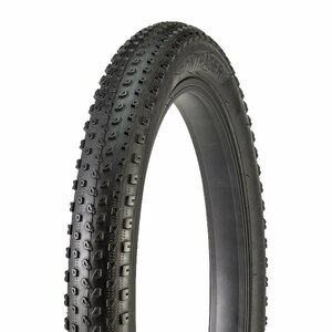 Bontrager XR1 20x2.25 TCG 579120