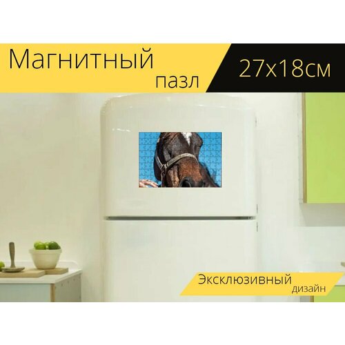 Магнитный пазл Лошадь, лошади, кобыла на холодильник 27 x 18 см.