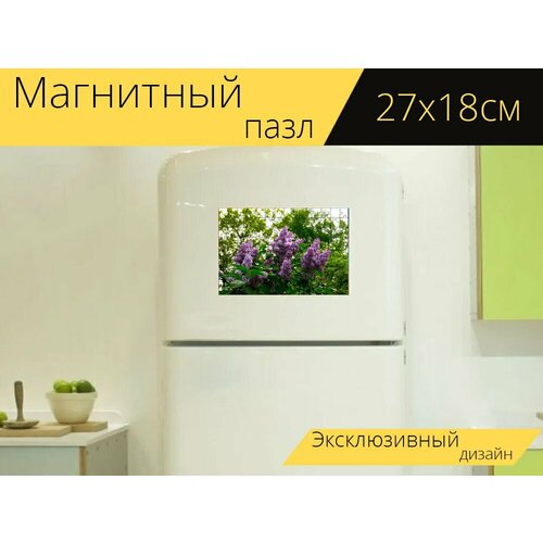 Магнитный пазл Сирень, цвести, цветок на холодильник 27 x 18 см. магнитный пазл цветок желтый сирень на холодильник 27 x 18 см