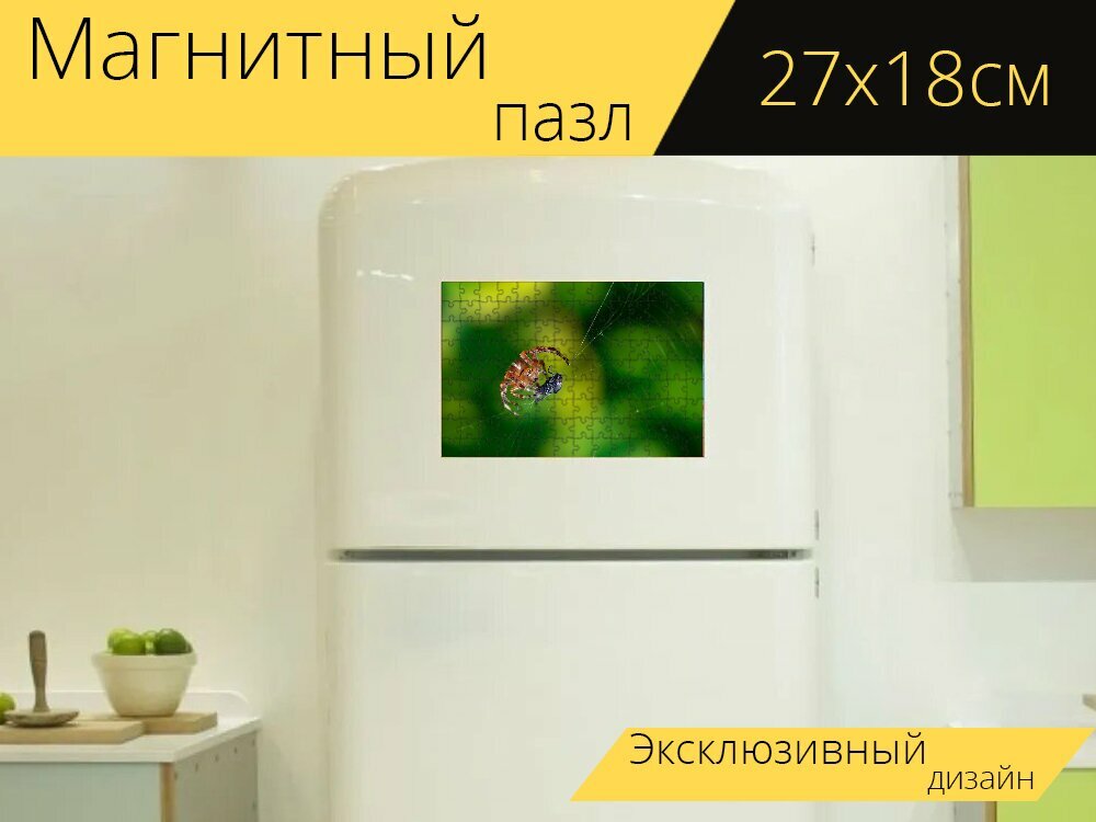 Магнитный пазл "Паук, добыча, паутина" на холодильник 27 x 18 см.