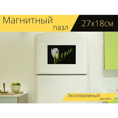 Магнитный пазл Фрезия, цветок, бутоны на холодильник 27 x 18 см.