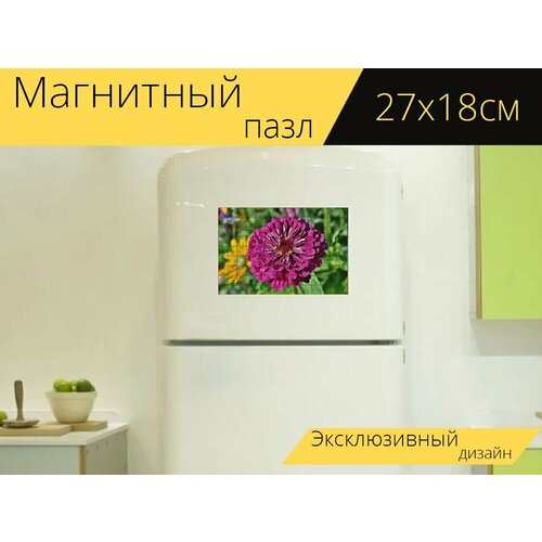 Магнитный пазл Цветок, цинния, лепестки на холодильник 27 x 18 см.