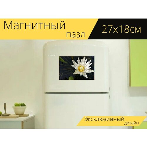 Магнитный пазл Лотос, цветок, белый на холодильник 27 x 18 см. магнитный пазл лотос зеленый белый на холодильник 27 x 18 см