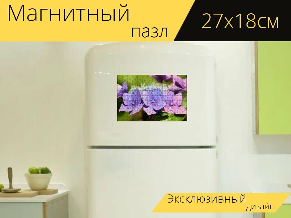 Магнитный пазл "Тарелка гортензия, гортензия, цветок" на холодильник 27 x 18 см.