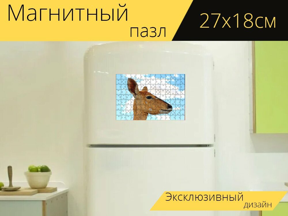 Магнитный пазл "Nyala, антилопа, женский пол" на холодильник 27 x 18 см.