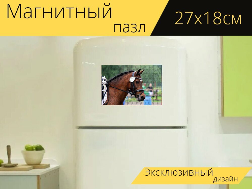 Магнитный пазл "Лошадь, лошадиная голова, езда на лошади" на холодильник 27 x 18 см.