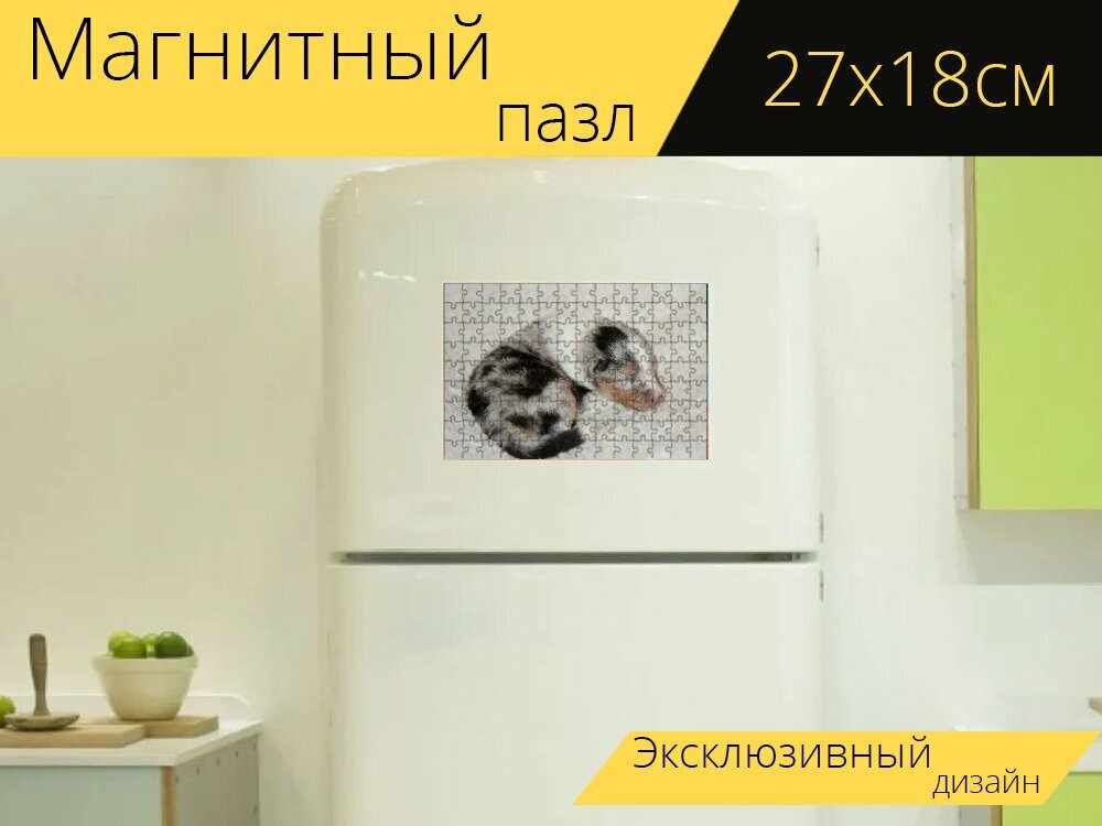 Магнитный пазл "Собака, щенок спал, щенок шелти" на холодильник 27 x 18 см.