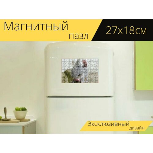 Магнитный пазл Гамадрил, обезьяна, бабуин на холодильник 27 x 18 см.