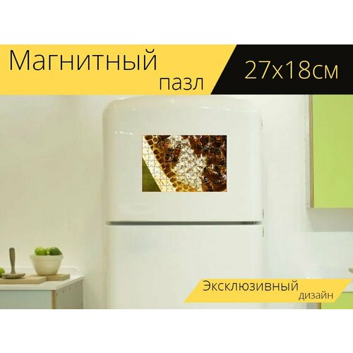 Магнитный пазл Соты, пчелы, медовый на холодильник 27 x 18 см. магнитный пазл соты медовый вкусный на холодильник 27 x 18 см